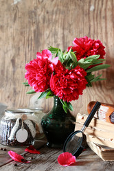 Similar image 13065047