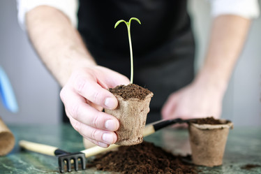 Similar image 13054253