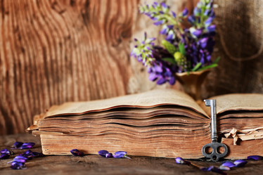 Similar image 13055285