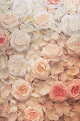 Similar image 13055881