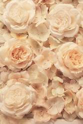 Similar image 13056037