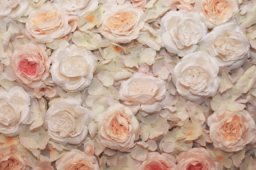 Similar image 13056297