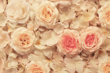 Similar image 13056356