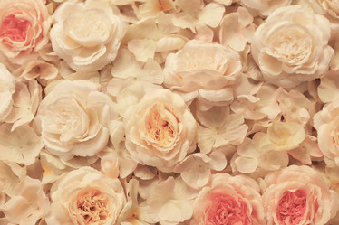 Similar image 13056414