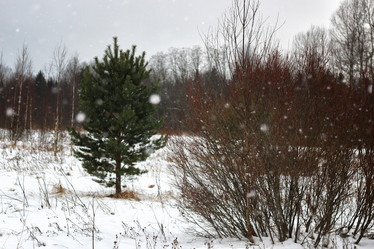 Similar image 13055782