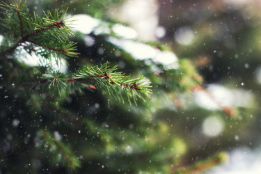 Similar image 13057197