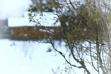 Similar image 13057134