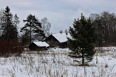 Similar image 13057512