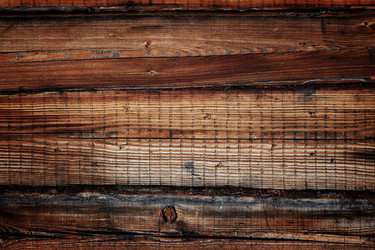 Similar image 13064911