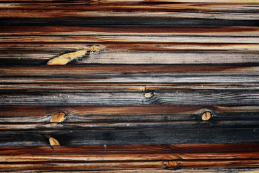 Similar image 13064953