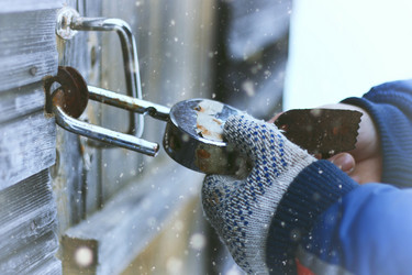 Similar image 13065010