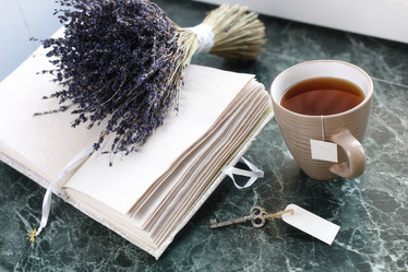 Similar image 13054846