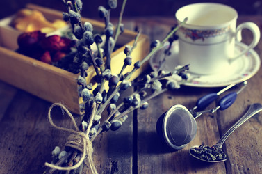 Similar image 13054256