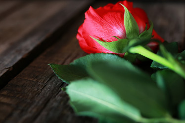 Similar image 13054532