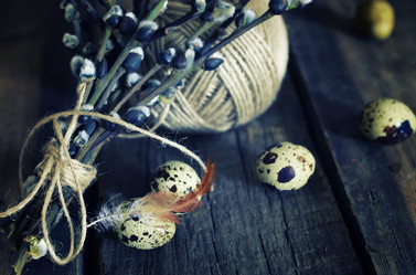 Similar image 13054612