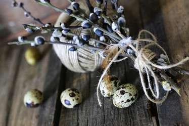 Similar image 13054630