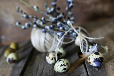 Similar image 13054671