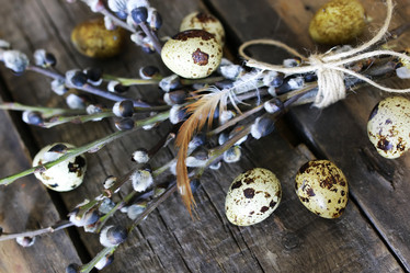 Similar image 13054710