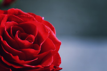 Similar image 13054752