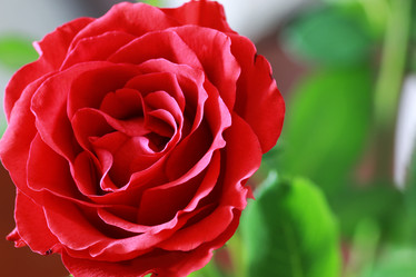 Similar image 13054812