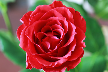 Similar image 13054828