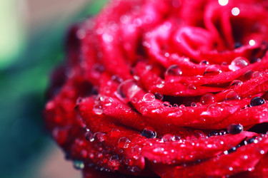 Similar image 13054869