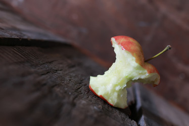 Similar image 13055490