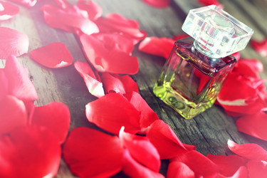 Similar image 13055609