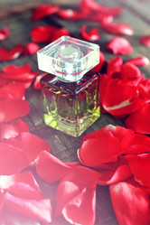 Similar image 13055628