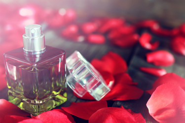 Similar image 13055646