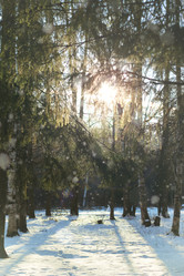 Similar image 13055647