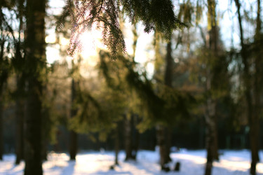 Similar image 13055704