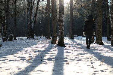 Similar image 13055764