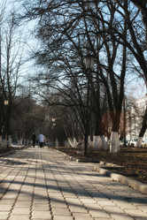 Similar image 13055920