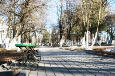 Similar image 13056021