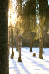 Similar image 13056039