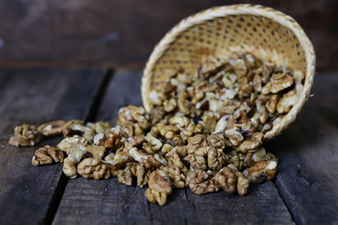 Similar image 13056218