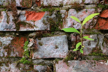 Similar image 13057220