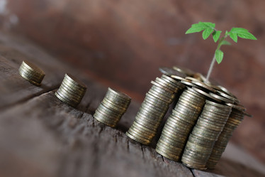 Similar image 13040528