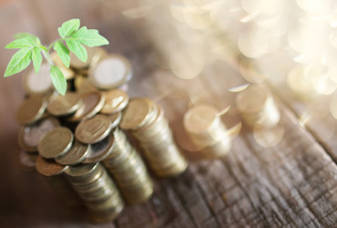 Similar image 13054134