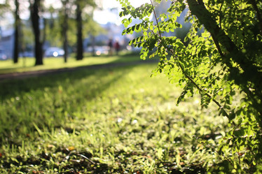 Similar image 13057337