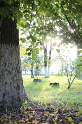 Similar image 13057496