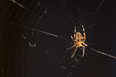 Similar image 13065013