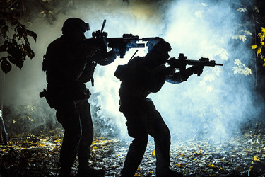 Similar image 13036746