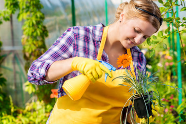 Similar image 13063360