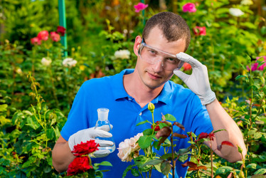 Similar image 13063464