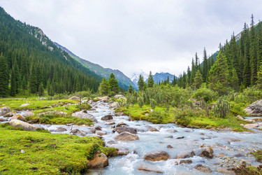 Similar image 13064546