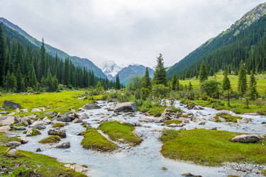 Similar image 13064548