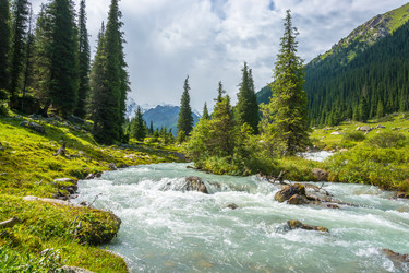 Similar image 13064562