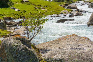 Similar image 13064566